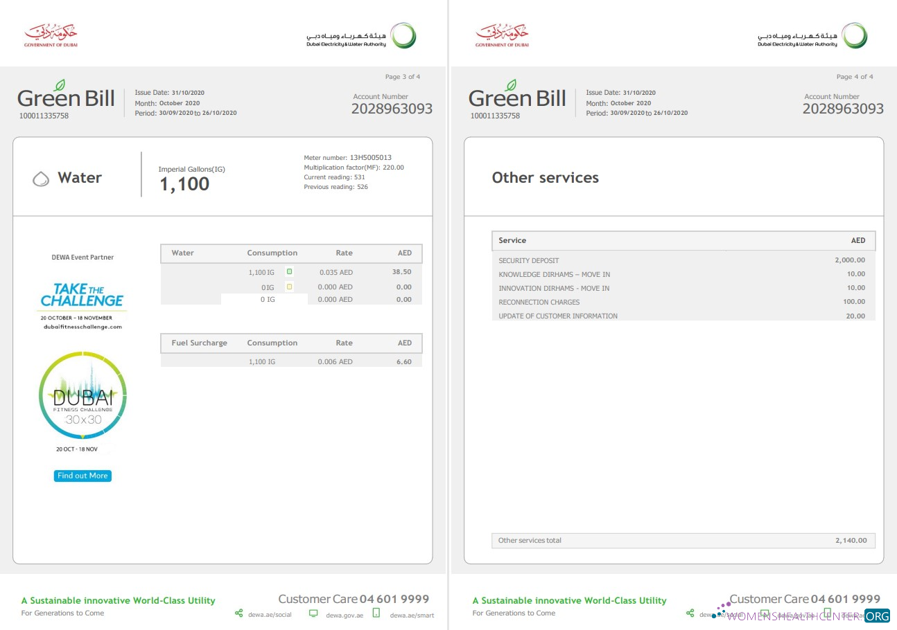 United Arab Emirates Dubai Electricity & Water Authority utility bill template in Word and PDF format (4 pages) 3 4